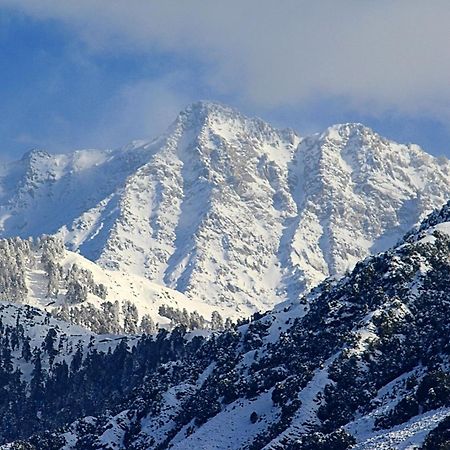 Hotel Bliss Valley Dharamshala - Beautiful View Of Mountains From Rooms Екстер'єр фото