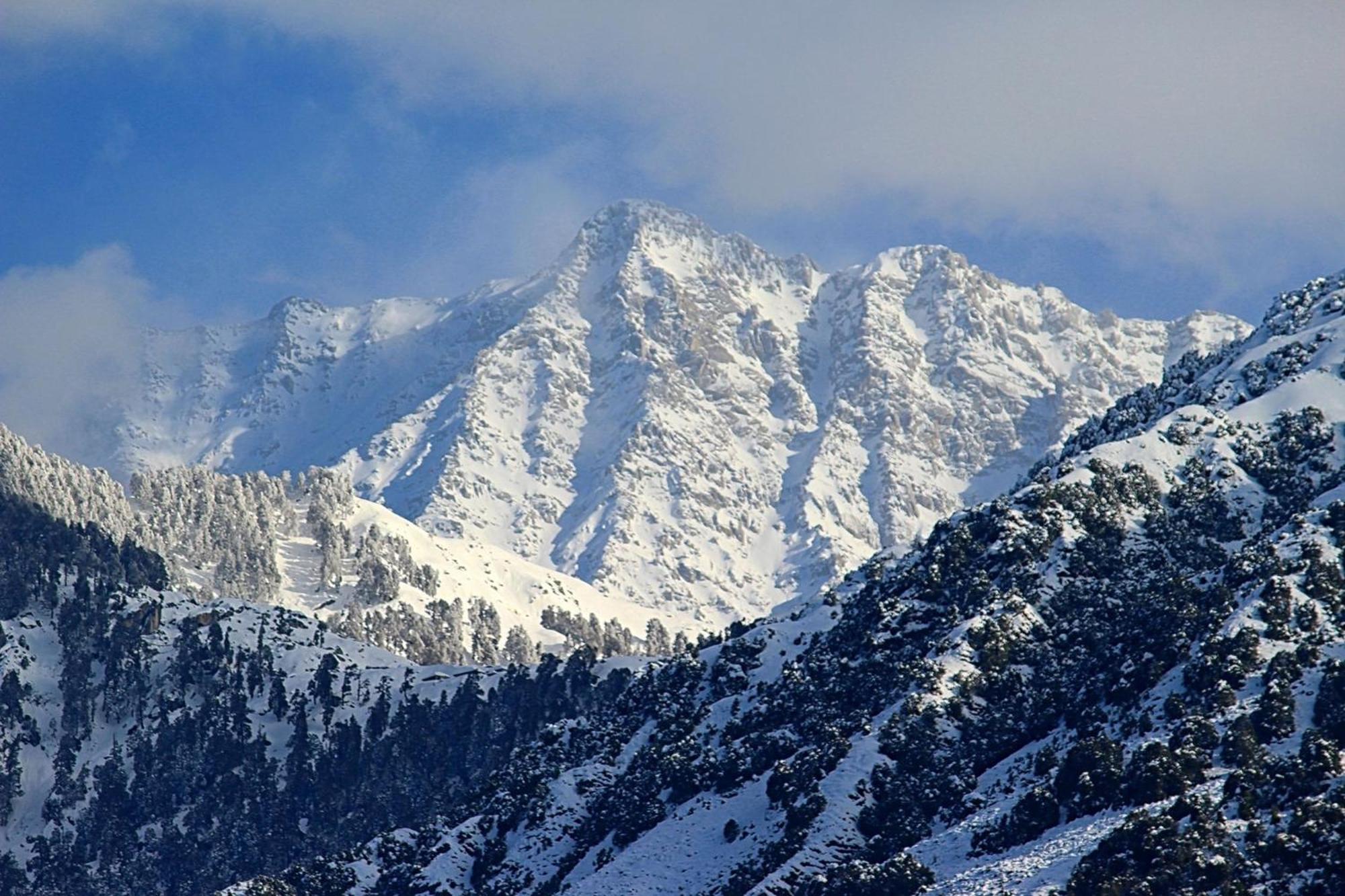 Hotel Bliss Valley Dharamshala - Beautiful View Of Mountains From Rooms Екстер'єр фото