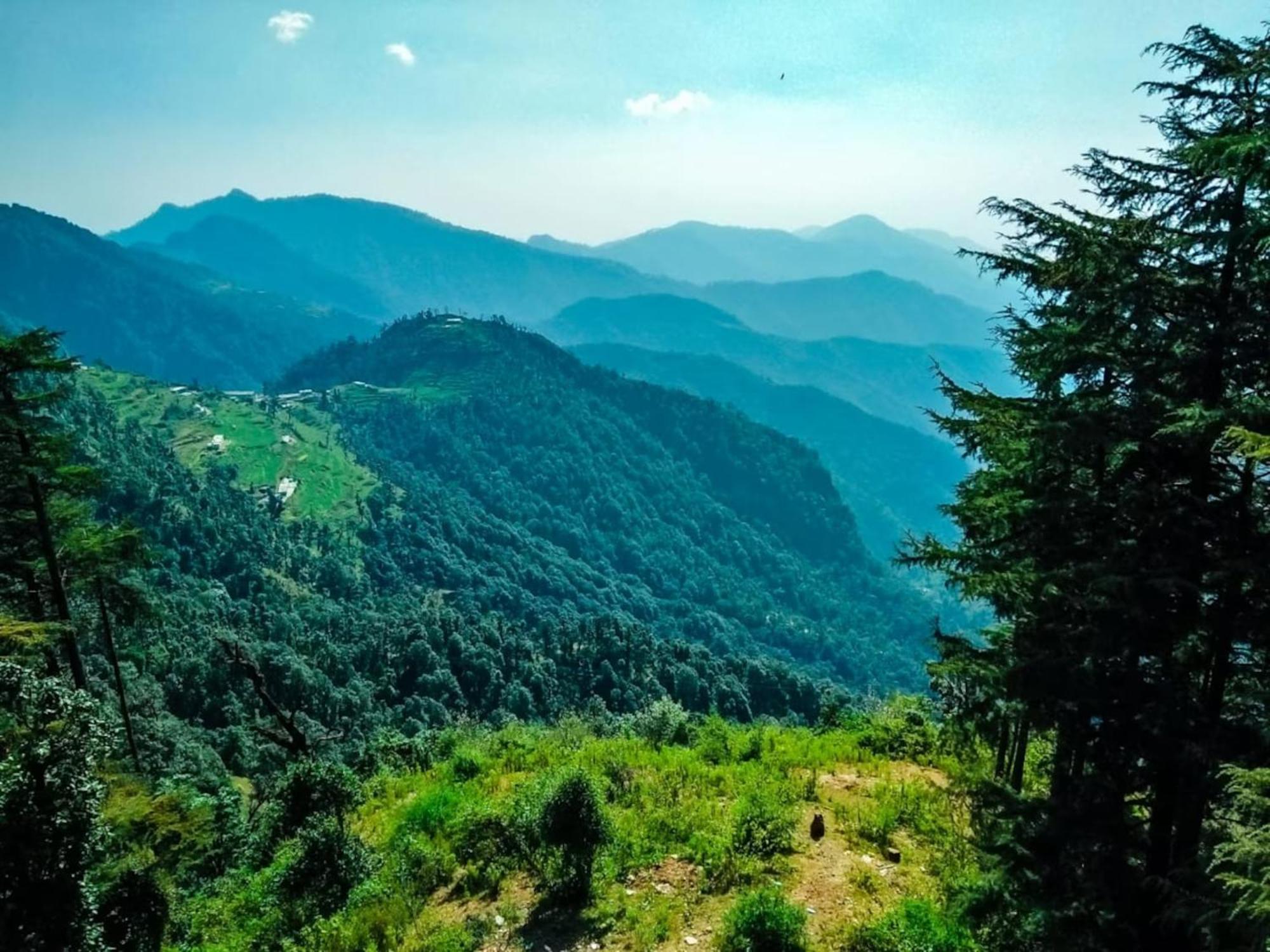 Hotel Bliss Valley Dharamshala - Beautiful View Of Mountains From Rooms Екстер'єр фото